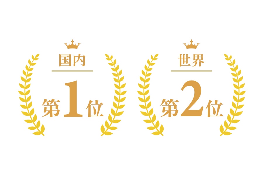 国内第1位 世界第2位