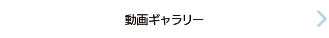 動画ギャラリー