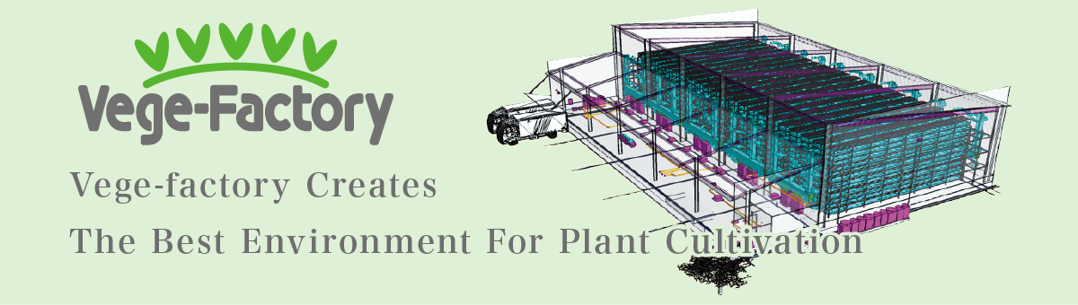Vege-factory Creates The Best Environment For Plant Cultivation