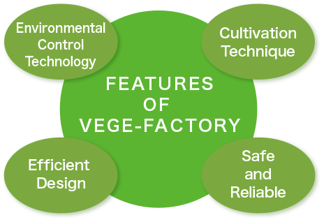 About Vege-factory Info