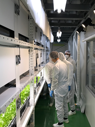 The Minister of Climate Change and Environment visits Vege-factory